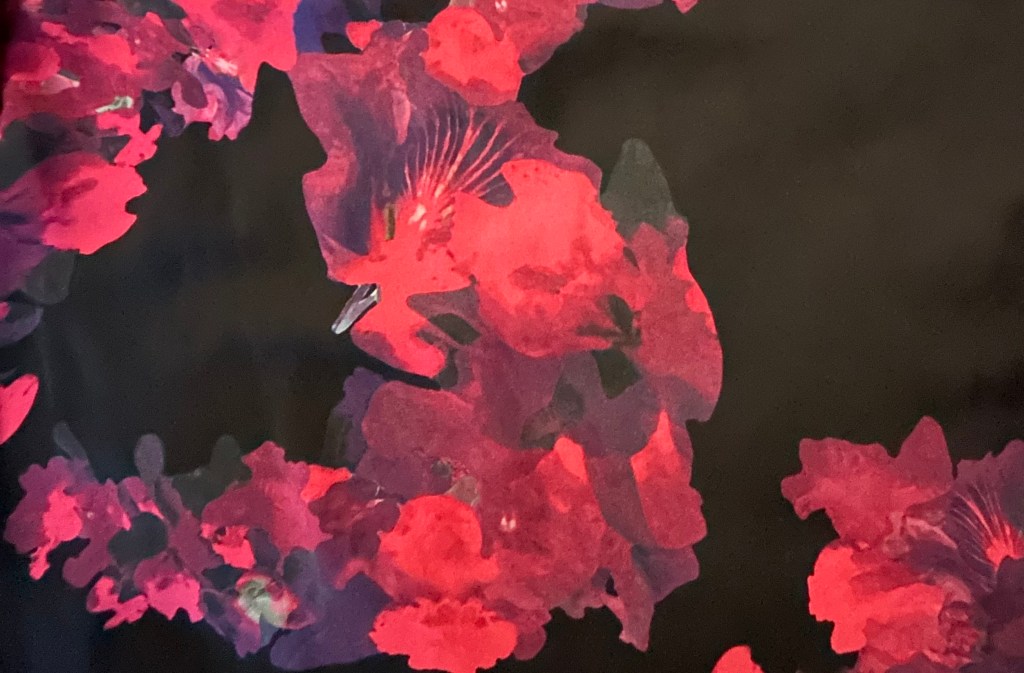 NEW: 365 Days of Style. Day 142 of the Style Challenge: Tuesday, October&nbsp;1st.